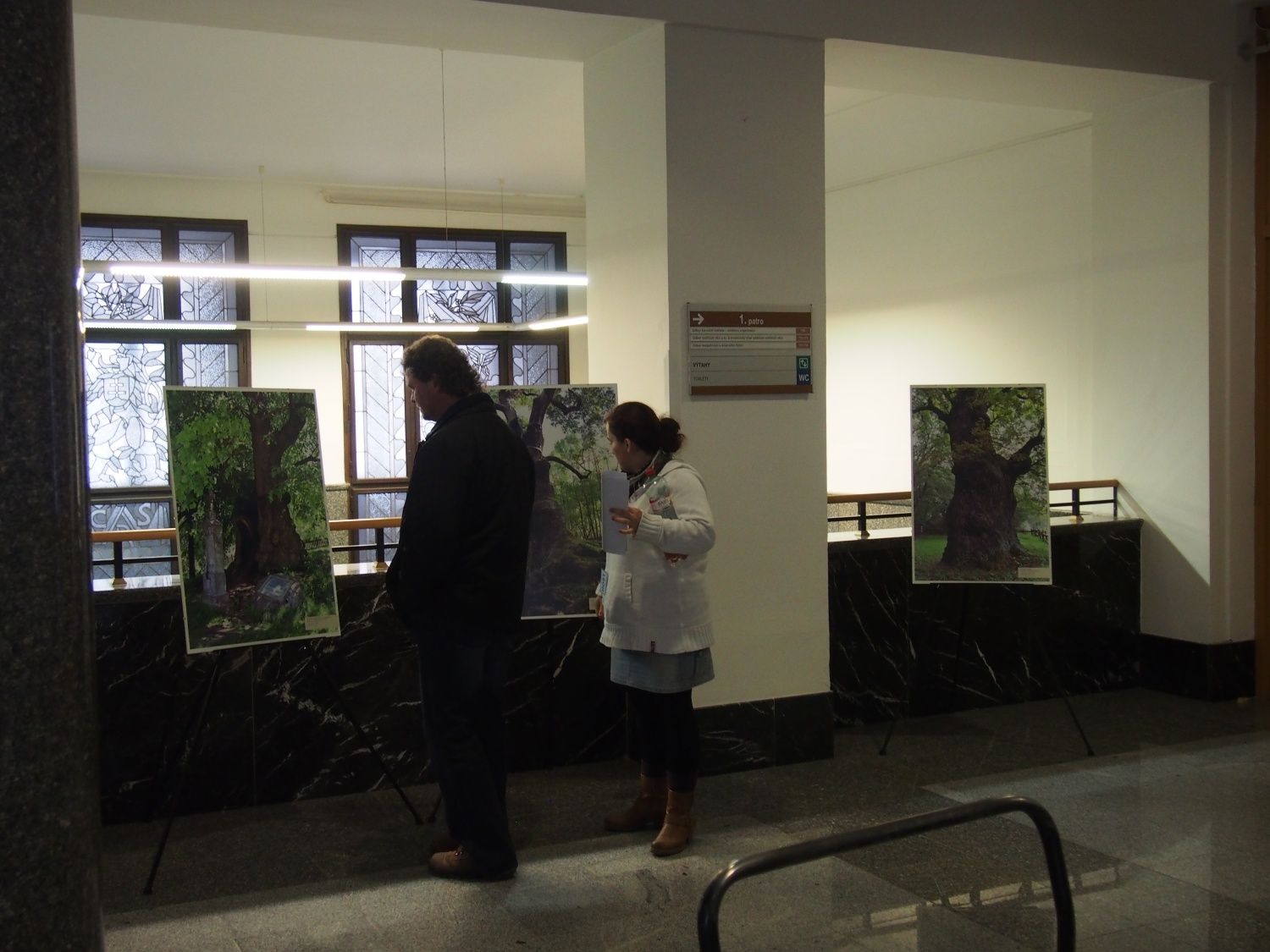 Krajský úřad vystavuje nejmohutnější památné stromy