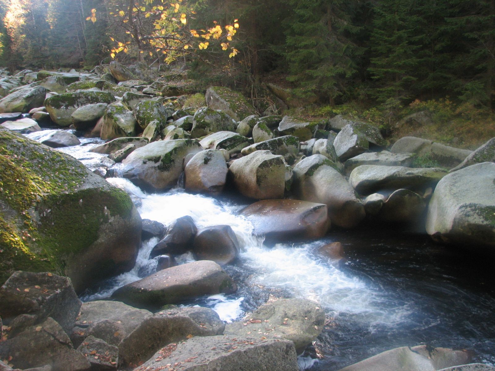 Letošní rok ve znamení čtvrtstoletí Národního parku Šumava