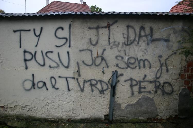 Na domažlické zdi zanechal sprostý nápis sokovi v lásce