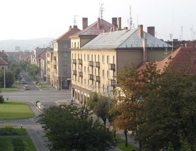 obrázek: Plzeň upraví směrnici pro nakládání s byty, víc zapojí odbory sociálních služeb 