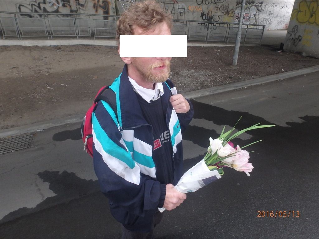 obrázek: Natrhal květiny pod plzeňským divadlem, pak je prodával za 40 korun