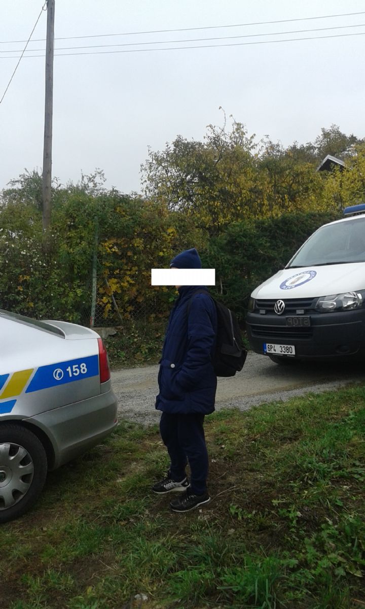 obrázek: Pes kontrolované ženy pokousal v Plzni strážníka
