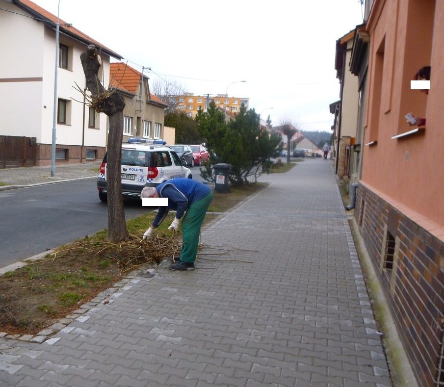 Plzeňák ořezával strom před barákem, má problém