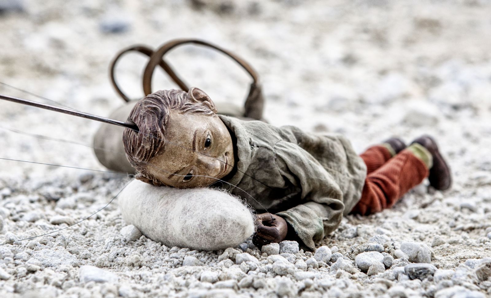 obrázek: První projekce v Plzni. Finále zve na premiéry filmů