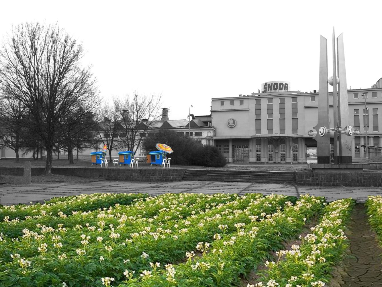 Pokračuje ZEN Plzeň: Město jako výstava  