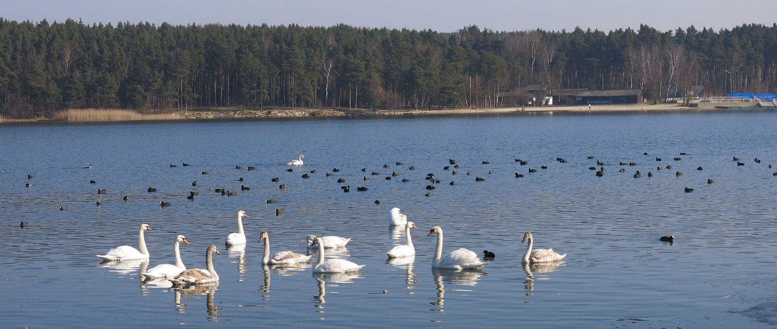 Přivítejte v sobotu jaro procházkou kolem plzeňských rybníků