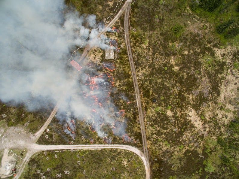 obrázek: Řízený požár v Brdech měl ve středu za cíl ochránit vřesoviště