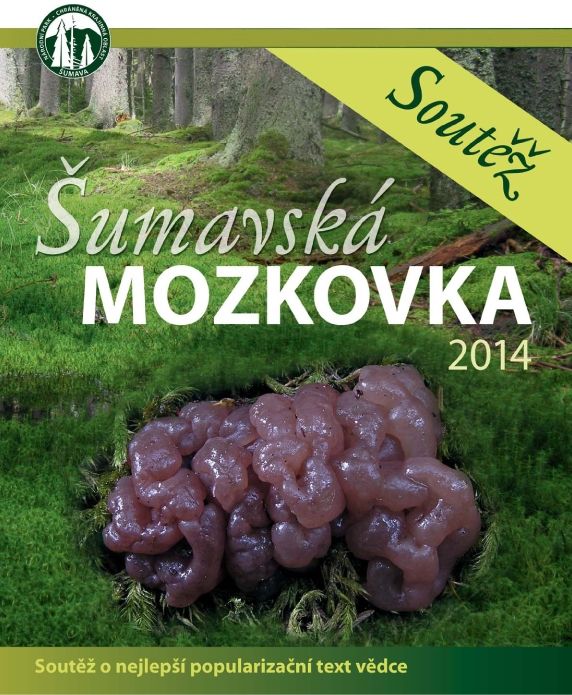 obrázek: Nejlepší článek v soutěži Šumavská mozkovka získá odměnu - houbu mozkovku