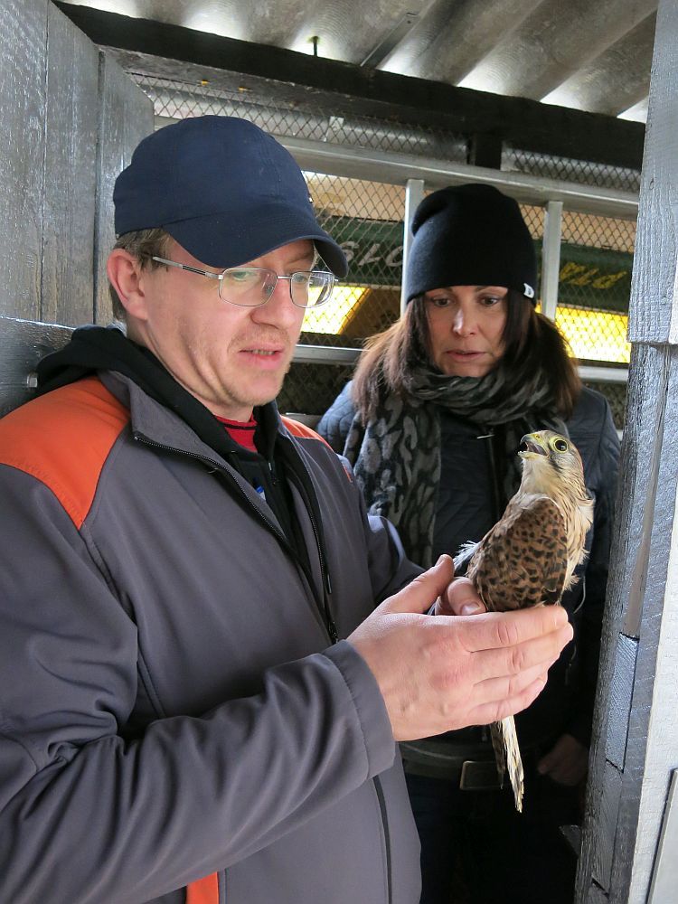 obrázek: Strážníci z plzeňské odchytové skupiny prošli školením zvířecích záchranářů