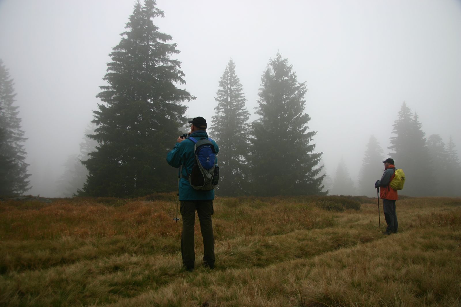 Šumava v úterý spouští rezervační systém na výpravy s průvodci za divočinou