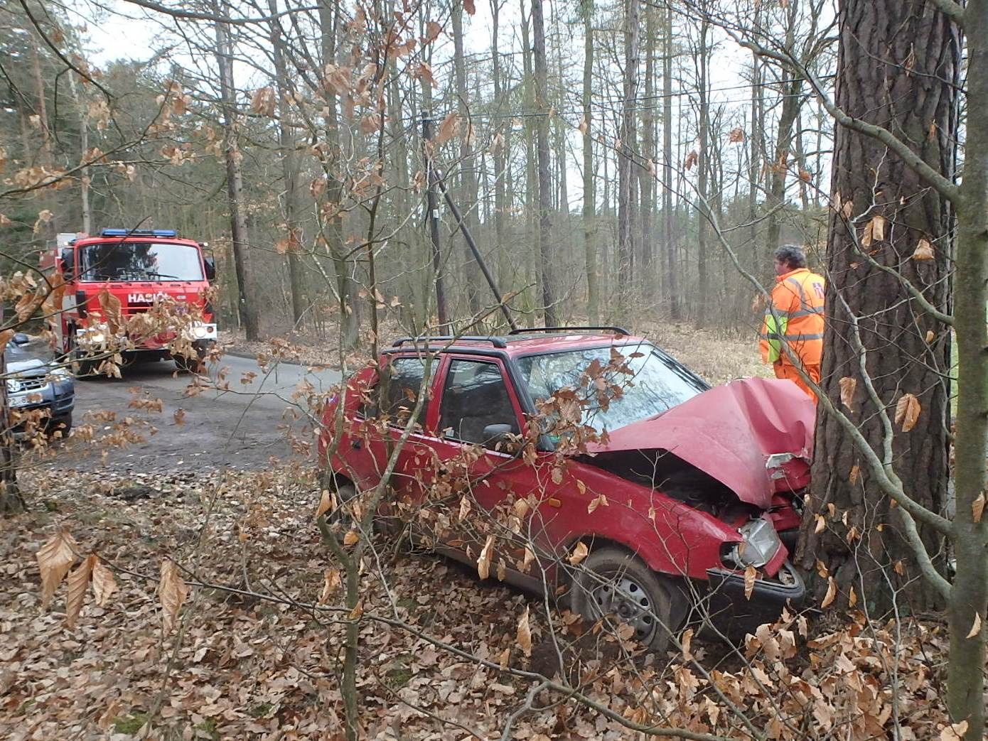 obrázek: U Ostrovce na Rokycansku narazilo v neděli auto do stromu
