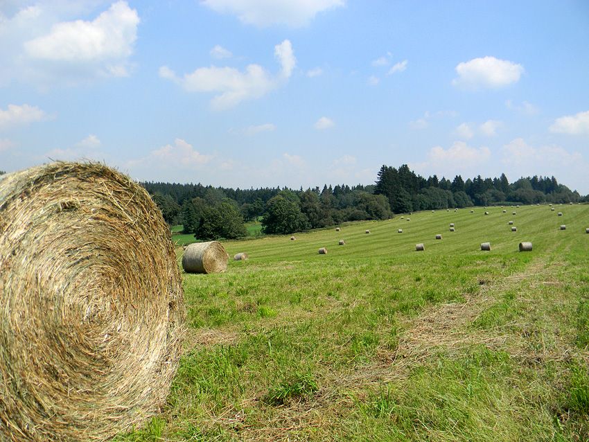 U Stoda ukradli na louce 70 balíků sena