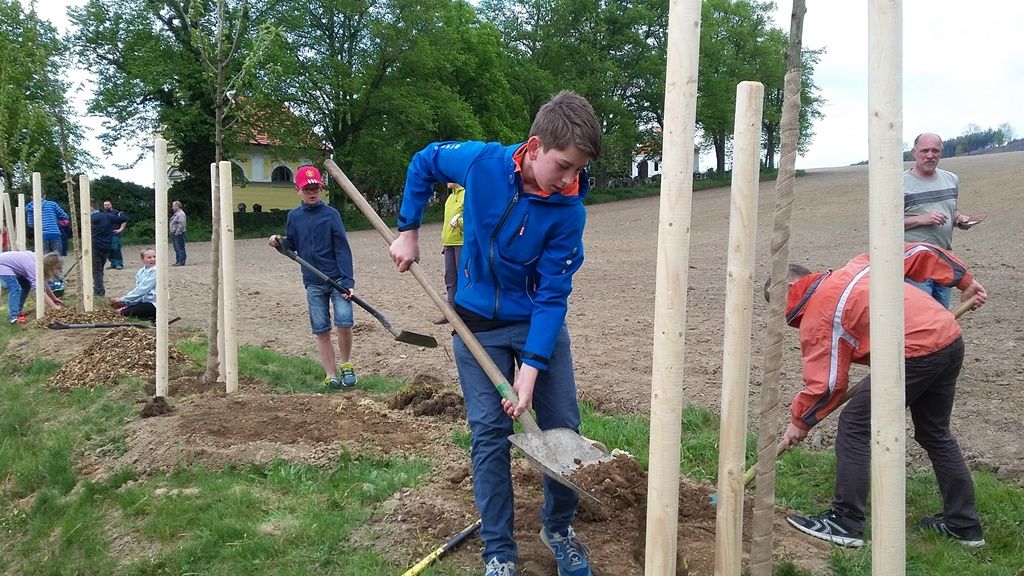 obrázek: Už podruhé letos školy zbourají bariéry pro handicapované a obce vysadí nové aleje. Granty Nadace ČEZ jsou opět otevřeny