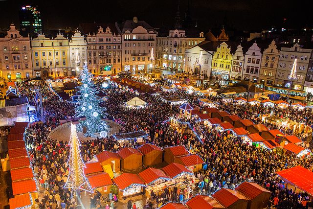 obrázek: Plzeňským vánočním stromem letos bude smrk, poprvé se rozsvítí 3. prosince 