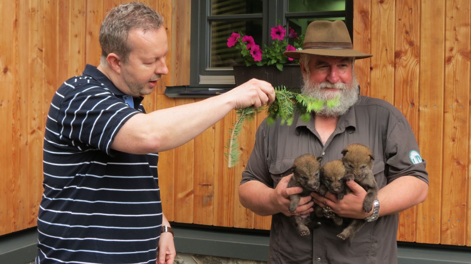 obrázek: Vlčata v Srní mají za sebou křest a jména Bela, Blesk, Bart, Burák a Bolt