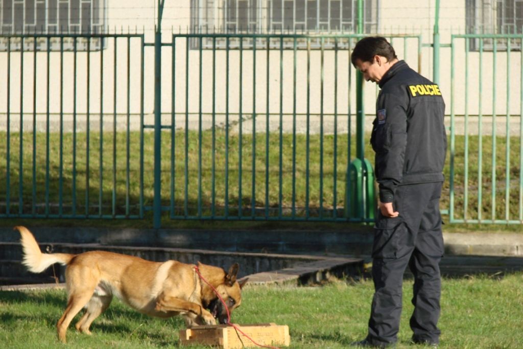 Záchytné zařízení pro uprchlíky v Balkové na Plzeňsku se otevře v lednu