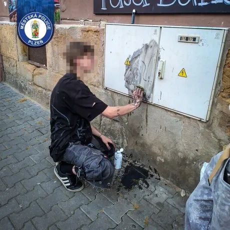 Pouliční umění mu dlouho nevydrželo. Mladík musel kresbu z rozvodné skříně odstranit