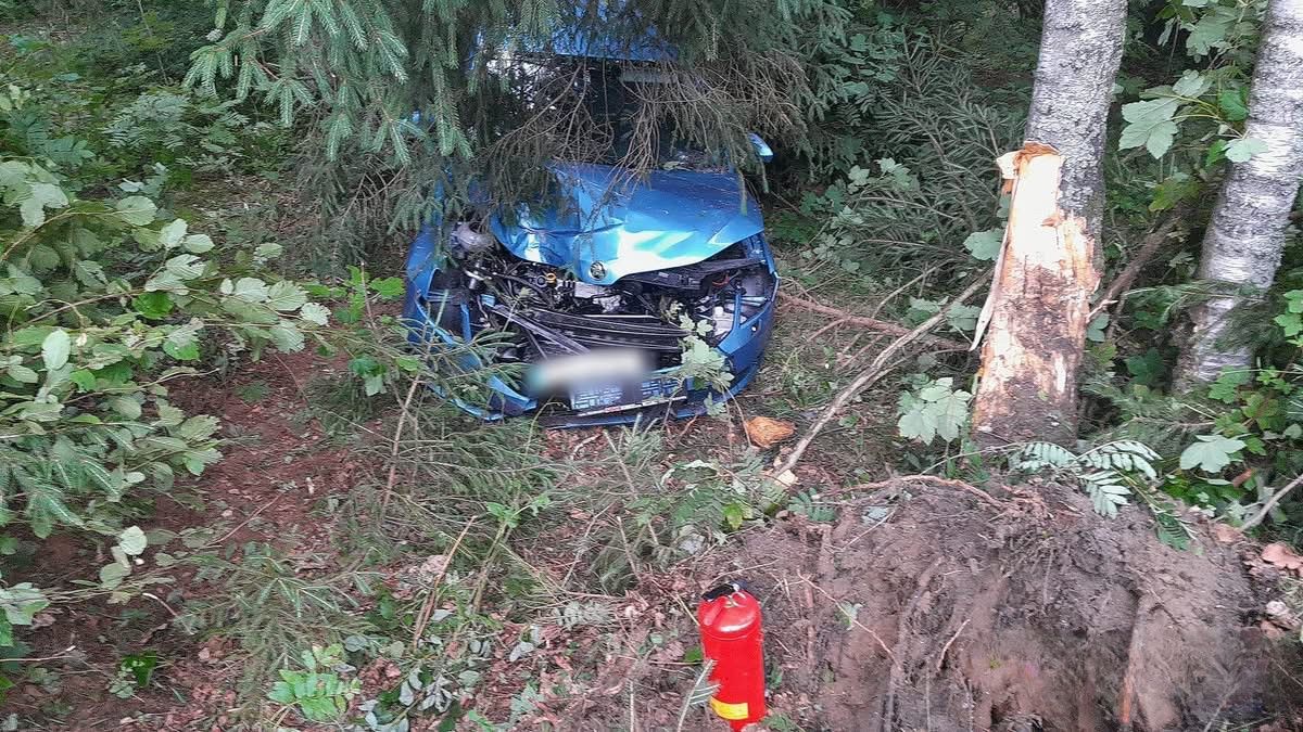 Škoda Octavia narazila do stromu mezi Dobrou Vodou a Hartmanicemi