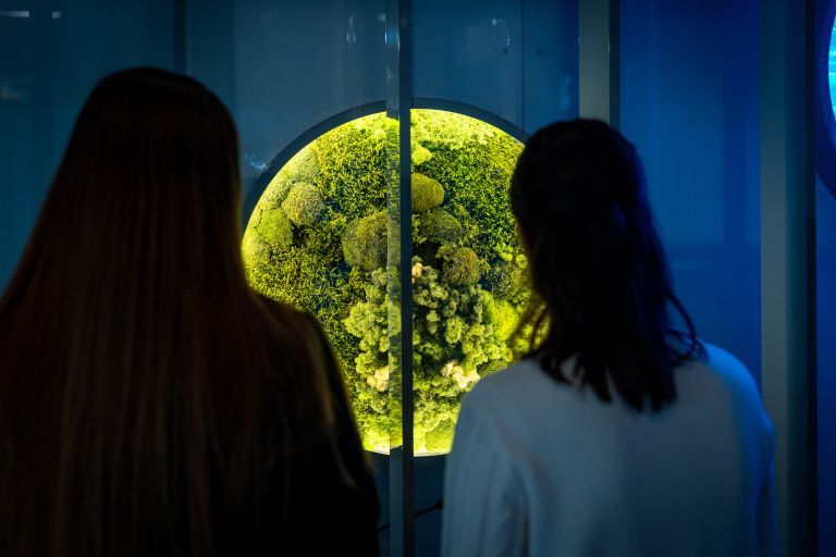 Zelená Techmania startuje environmentální program s tématem mokřady