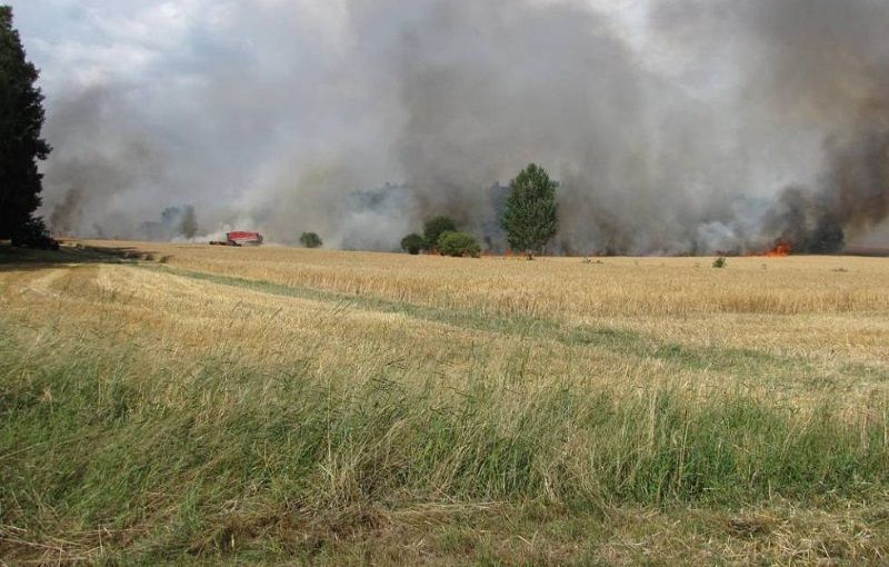 Hned dva požáry zlikvidovali hasiči v neděli před polednem – měli i malé pomocníky