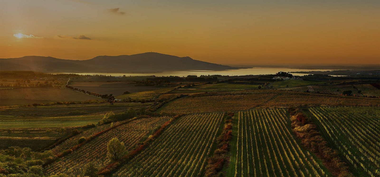 Rezidence Pálava: zážitky mezi vinicemi a Pavlovskými vrchy