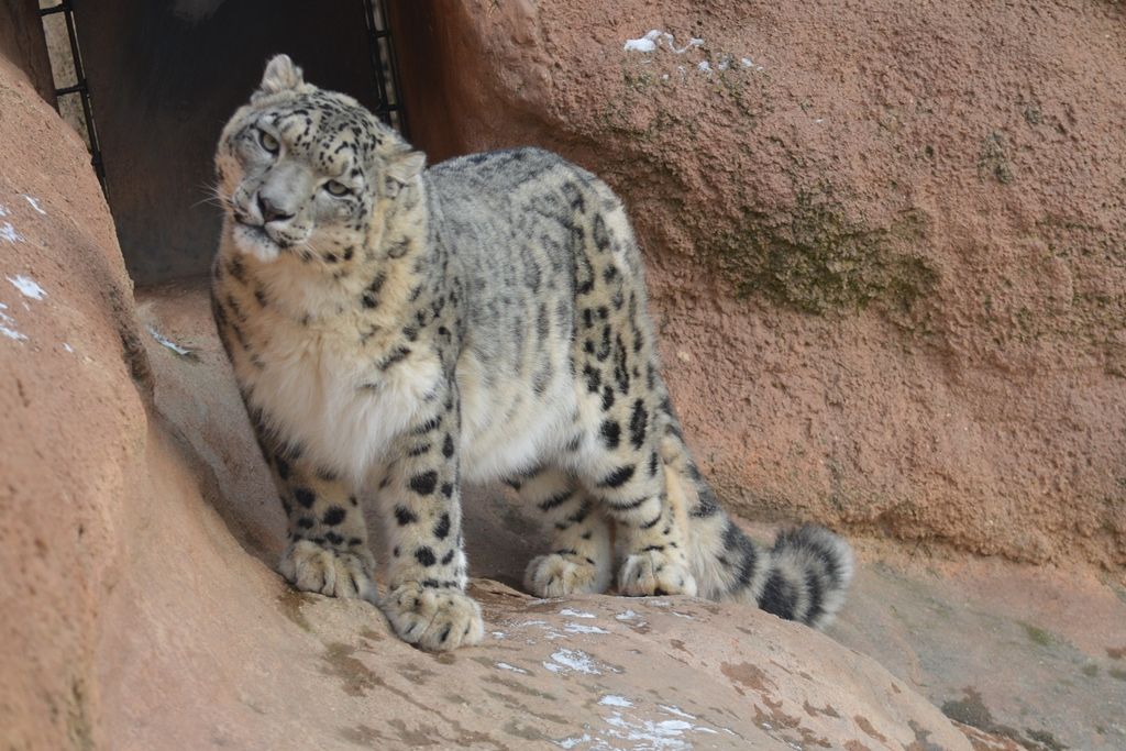 Máte rádi skoky na lyžích? A ve verších?