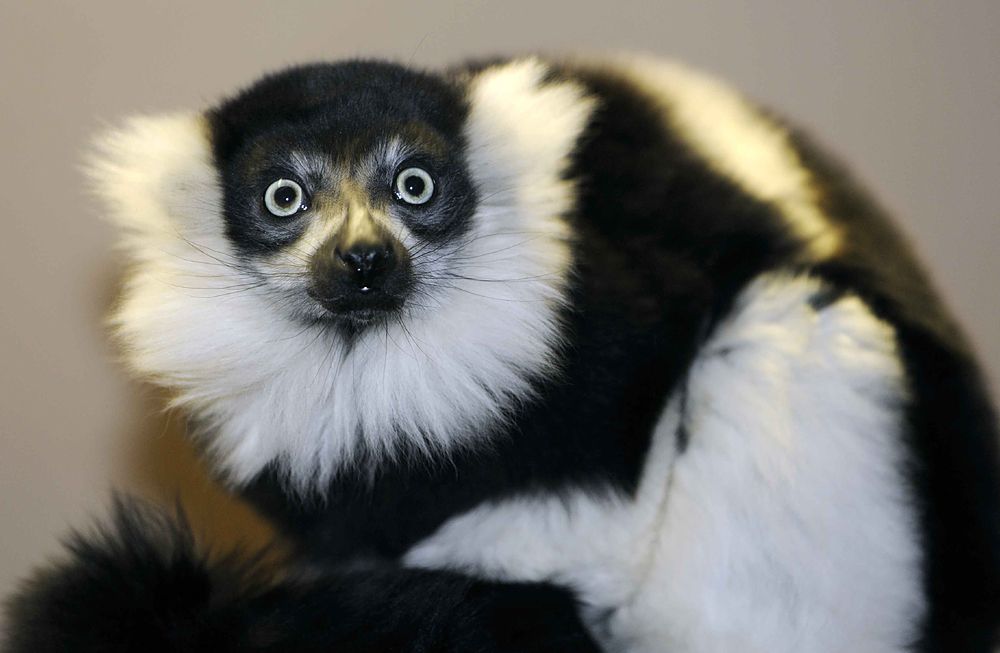 Návštěvnost Zoo Plzeň v roce 2014