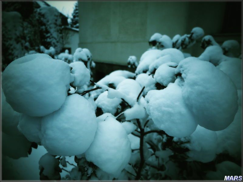 AKTUÁLNĚ ZE ŽELEZNÉ RUDY