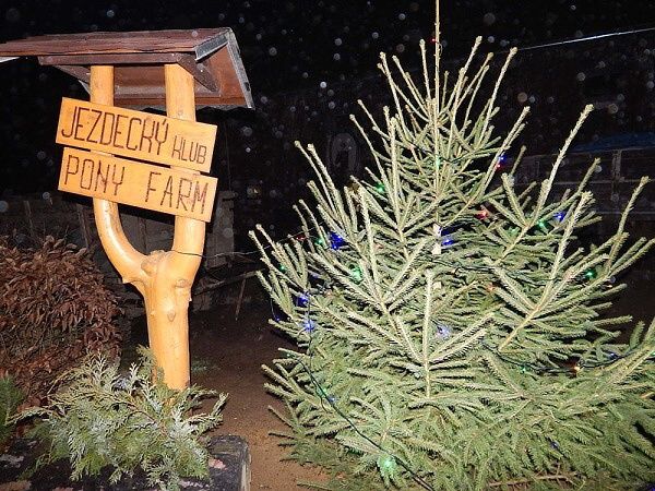 I U KONÍČKŮ BYLA VÁNOČNÍ BESÍDKA