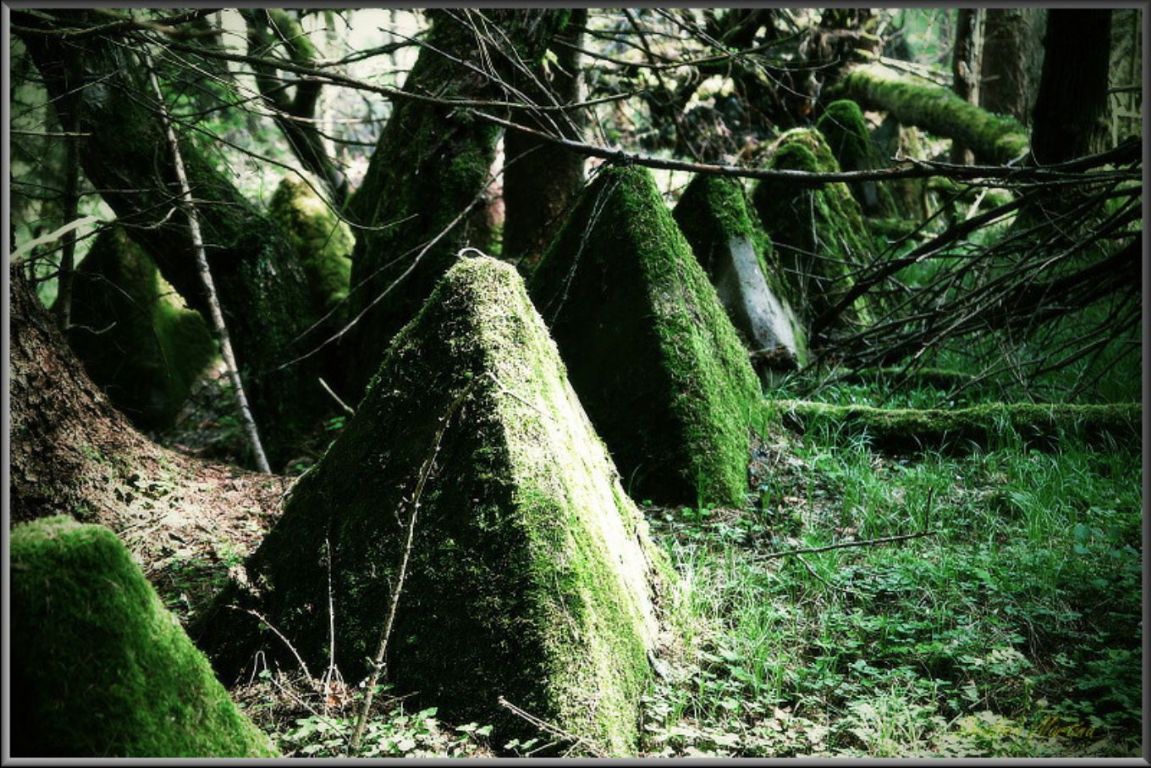 KOLEM DOKOLA OKOLO MÍLOVA