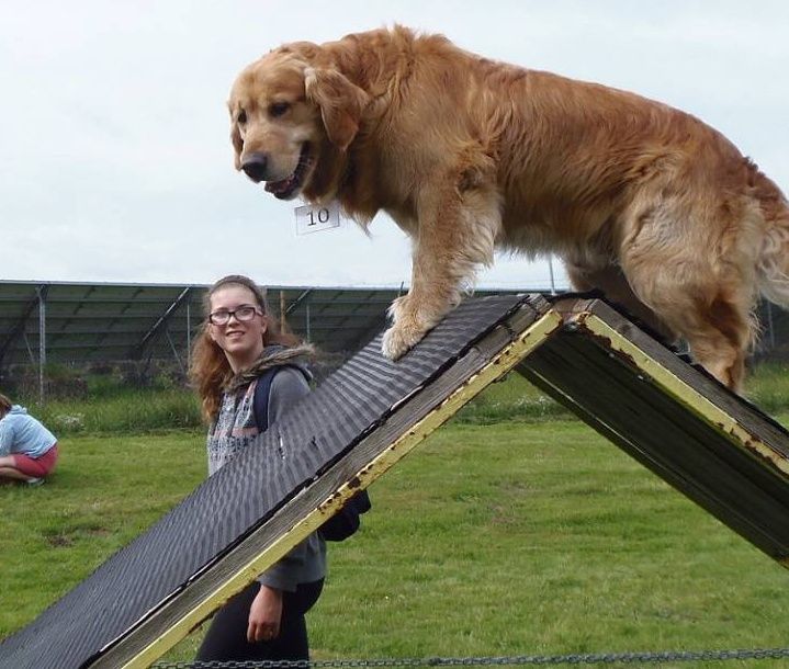 KYNOLOGOVÉ BUDOU MÍT NOVÉ CVIČIŠTĚ