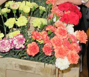 MDŽ – JE TU OD ROKU 1909