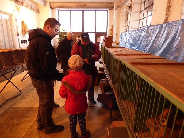 MĚLI JEN UŠÁKY, SLEPICE SE ZATÍM PRODÁVAT NESMÍ!