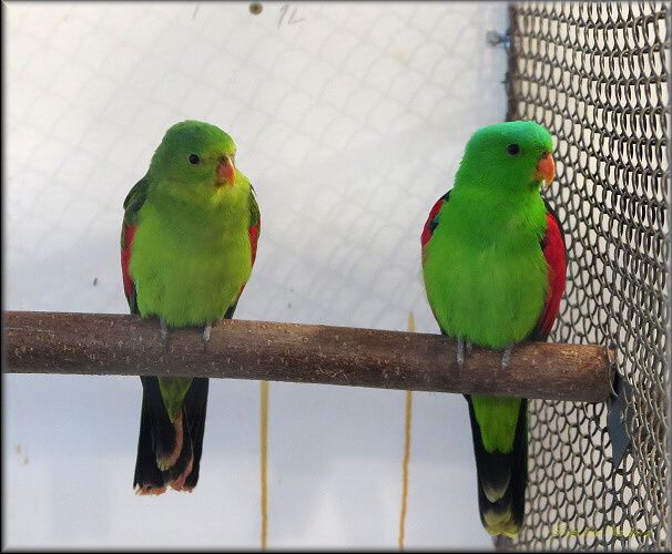 NA EXOTY MŮŽETE JÍT I ZÍTRA!