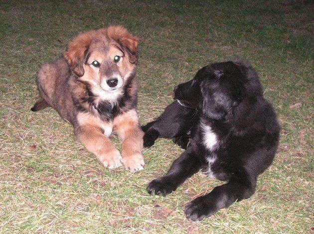 NABÍDKA ŠTĚŇÁTEK