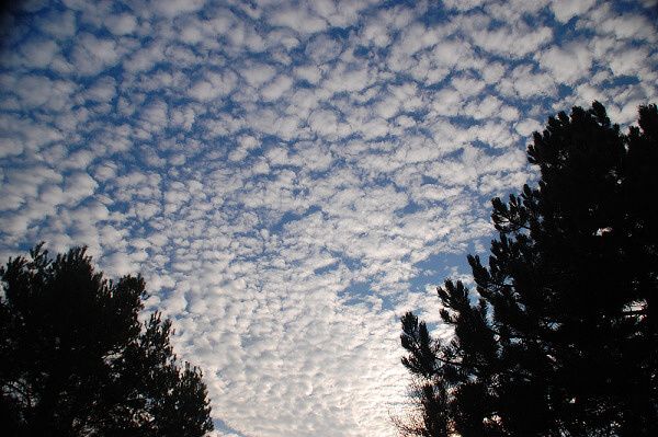 ROZDALI BETLÉMSKÉ SVĚTLO