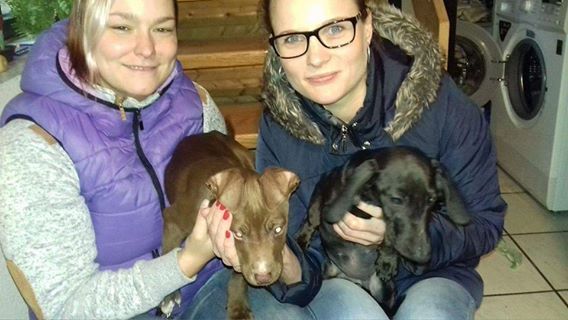 STŘÍBRŠTÍ UDĚLALI SBÍRKU PRO TÝRANOU SENDY