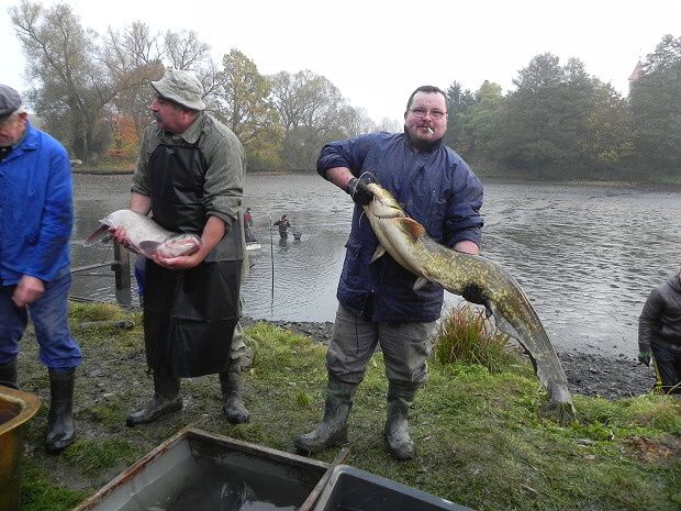 SULISLAVŠTÍ VYTÁHLI SUMCE I TOLSTOLOBIKY