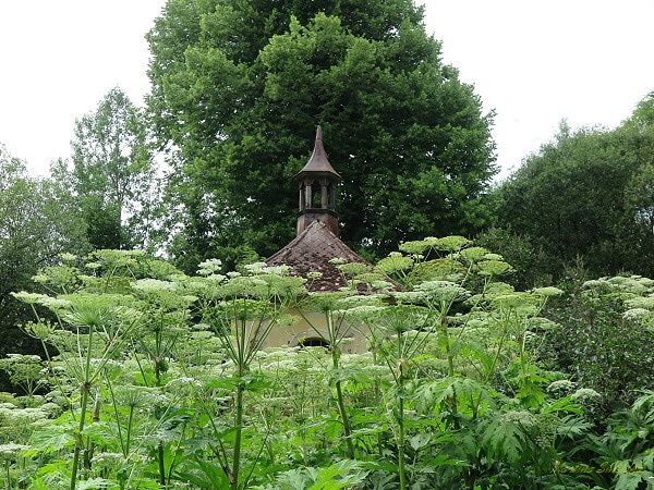 TAJEMSTVÍ JESKYNĚ INKŮ NA TACHOVSKU