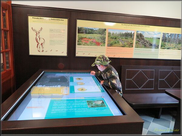 TIP NA VÝLET: DŮM PŘÍRODY SLAVKOVSKÉHO LESA