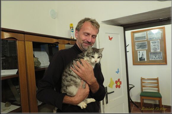 V MUZEU JSOU FOTKY ČESKÉHO LESA