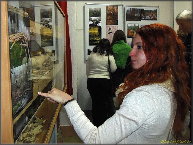 V TACHOVĚ VYSTAVUJÍ SNÍMKY ČESKÉHO LESA