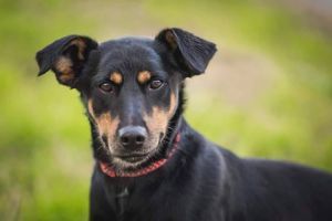 VEZMETE SI PUFÍČKA?