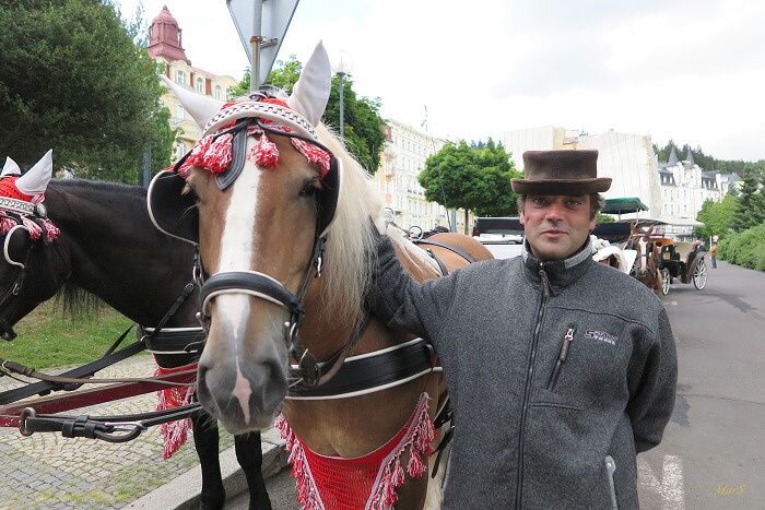 Z KUCHAŘE ŠEL ROVNOU NA KOČÍHO, KONĚ JSOU JEHO LÁSKOU!