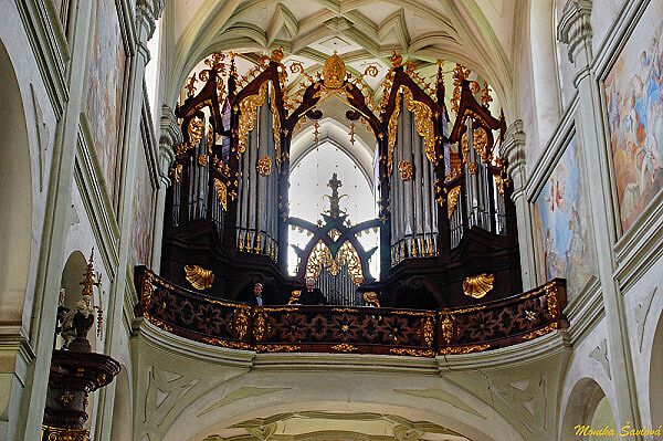 ZAČALO KLADRUBSKÉ LÉTO