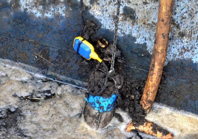 ZACHRAŇOVALI KACHŇATA Z ČOV