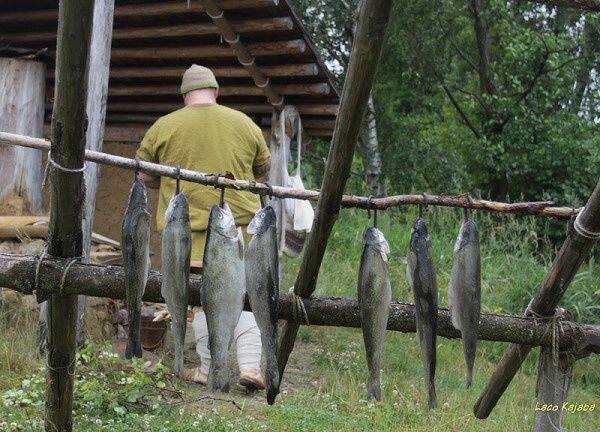 ZE SLOVANSKÝCH OSLAV OBRAZEM