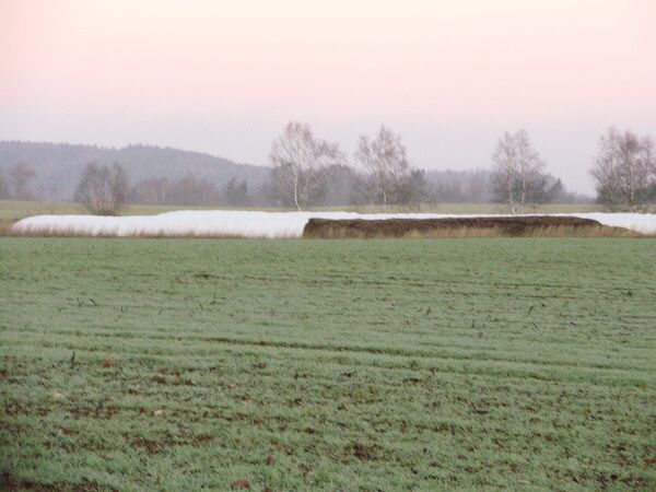 ZLODĚJI ZNIČILI ÚRODU ZA 120 000 KORUN