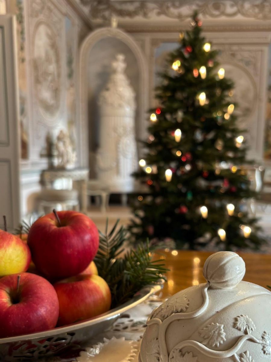 Advent na Zámku Kozel láká na víkendové prohlídky