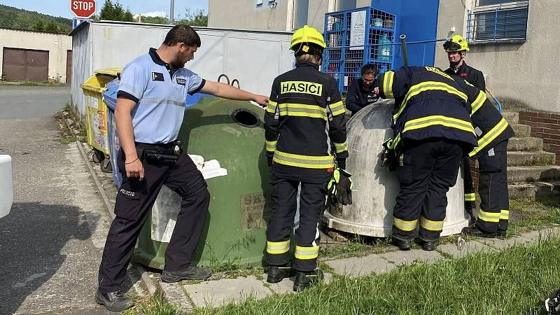 Koťata vhozená do kontejneru zachránila náhoda a lidskost